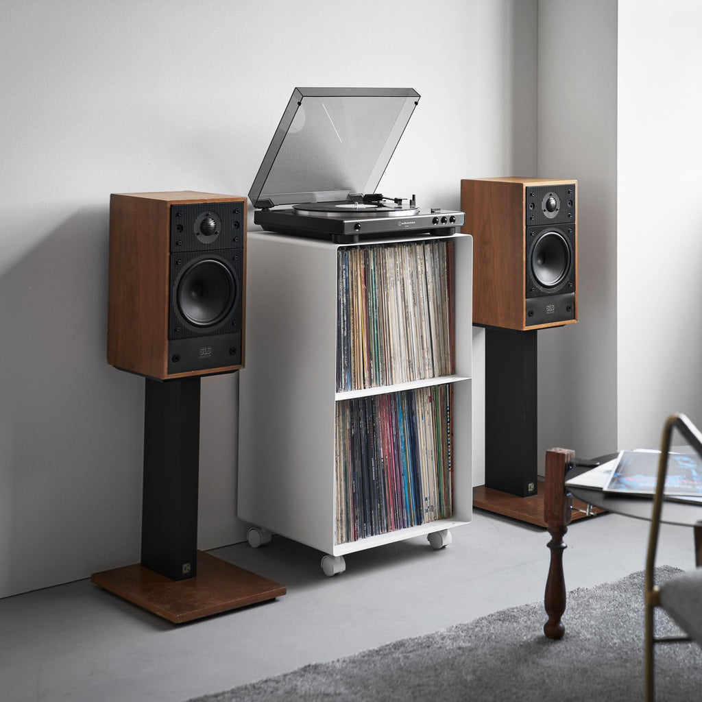 2-Tiered Record Rack with Casters