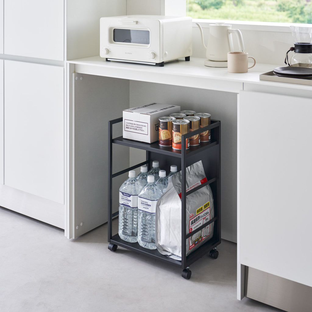 2-Tiered Semi-Closed Storage Wagon