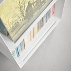 2-Tiered Record Rack with Casters