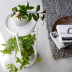 2-Tiered Plant Stand with Casters