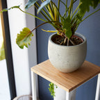 2-Tiered Wood-Top Shelf