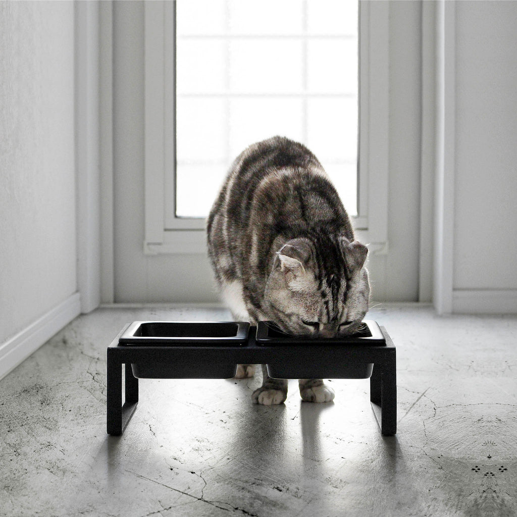 Pet Food Bowls with Stand