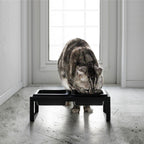 Pet Food Bowls with Stand