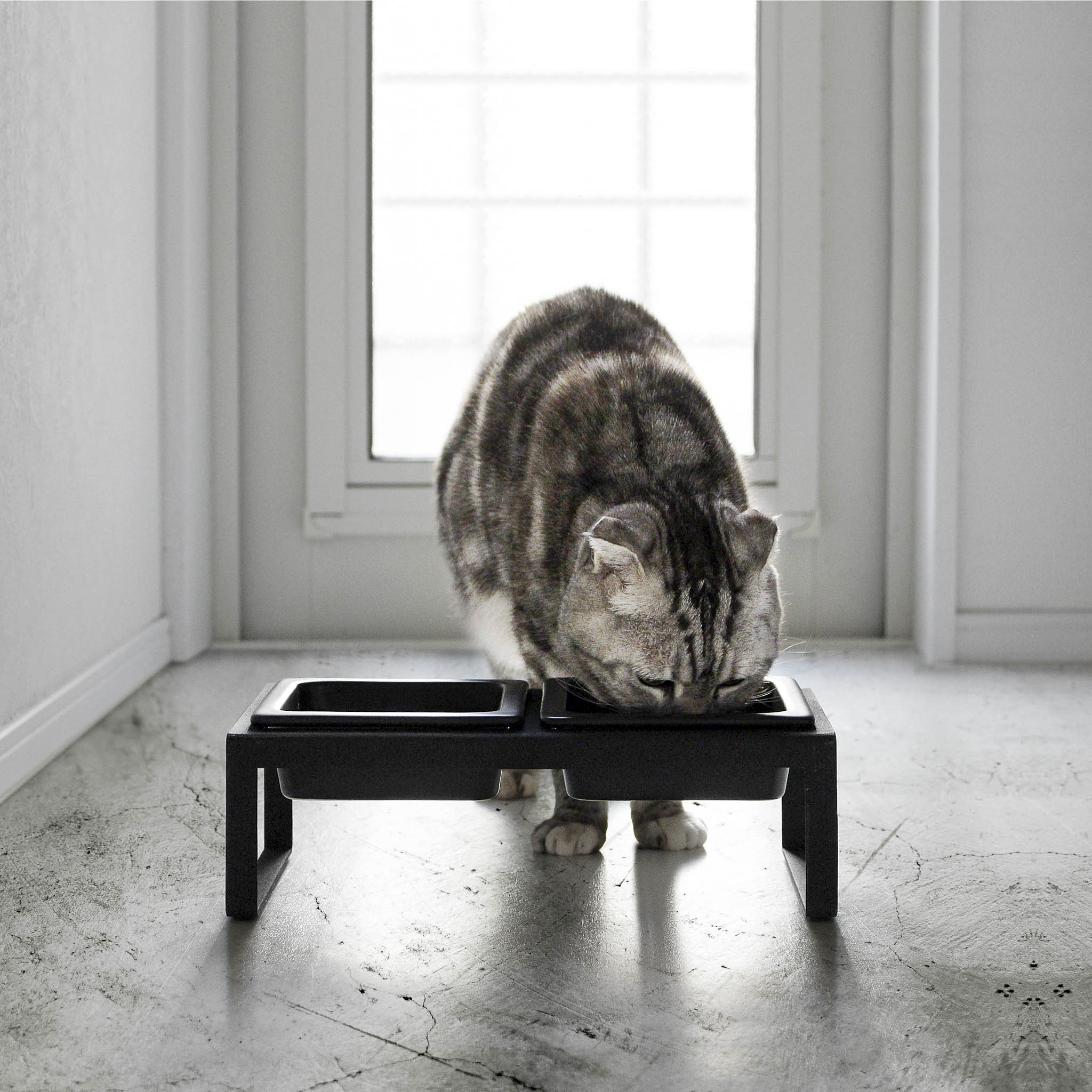 Pet Food Bowls with Stand