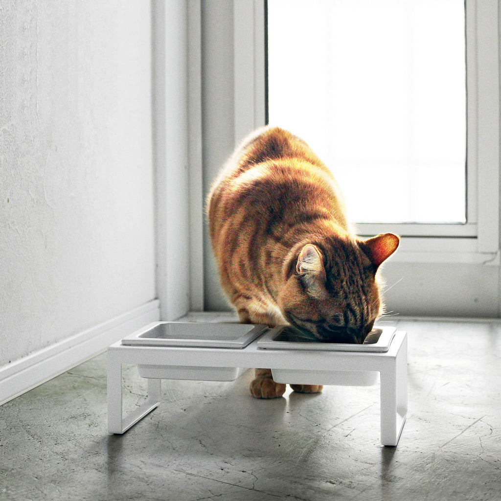 Pet Food Bowls with Stand