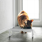 Pet Food Bowls with Stand