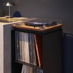 2-Tiered Record Rack with Casters