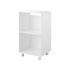 2-Tiered Record Rack with Casters