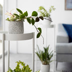 2-Tiered Plant Stand with Casters