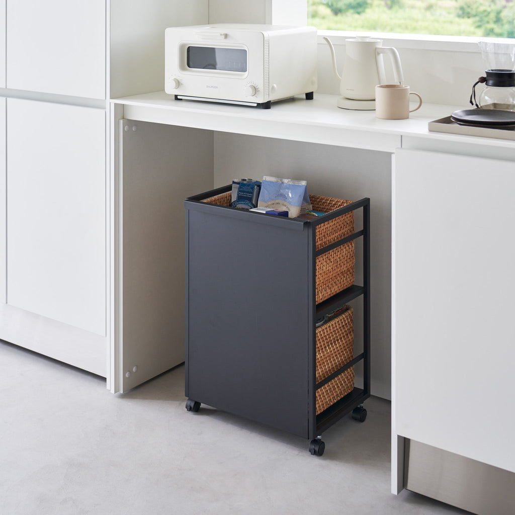 2-Tiered Semi-Closed Storage Wagon