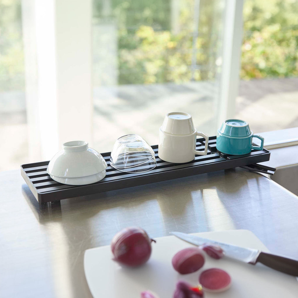 Slim Dish Drainer