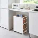 2-Tiered Semi-Closed Storage Wagon