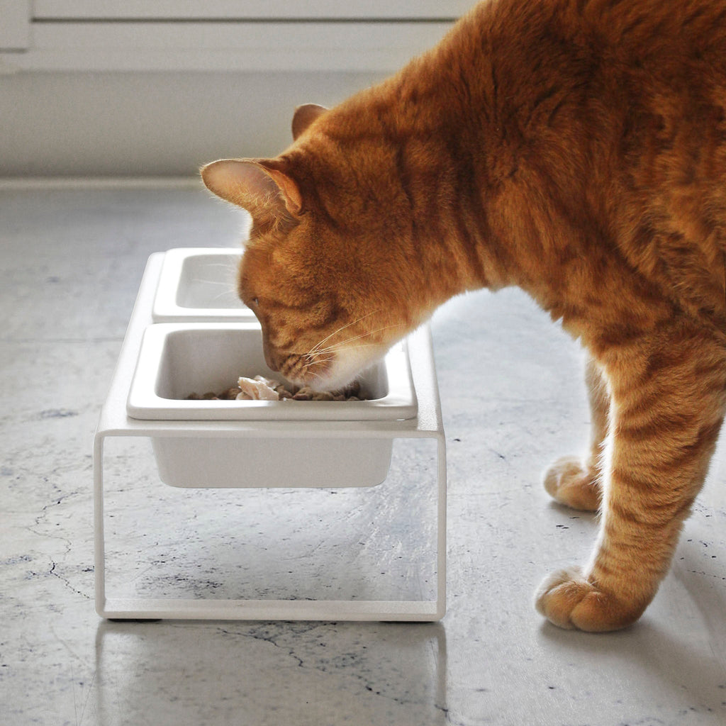 Pet Food Bowls with Stand