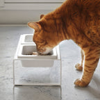 Pet Food Bowls with Stand