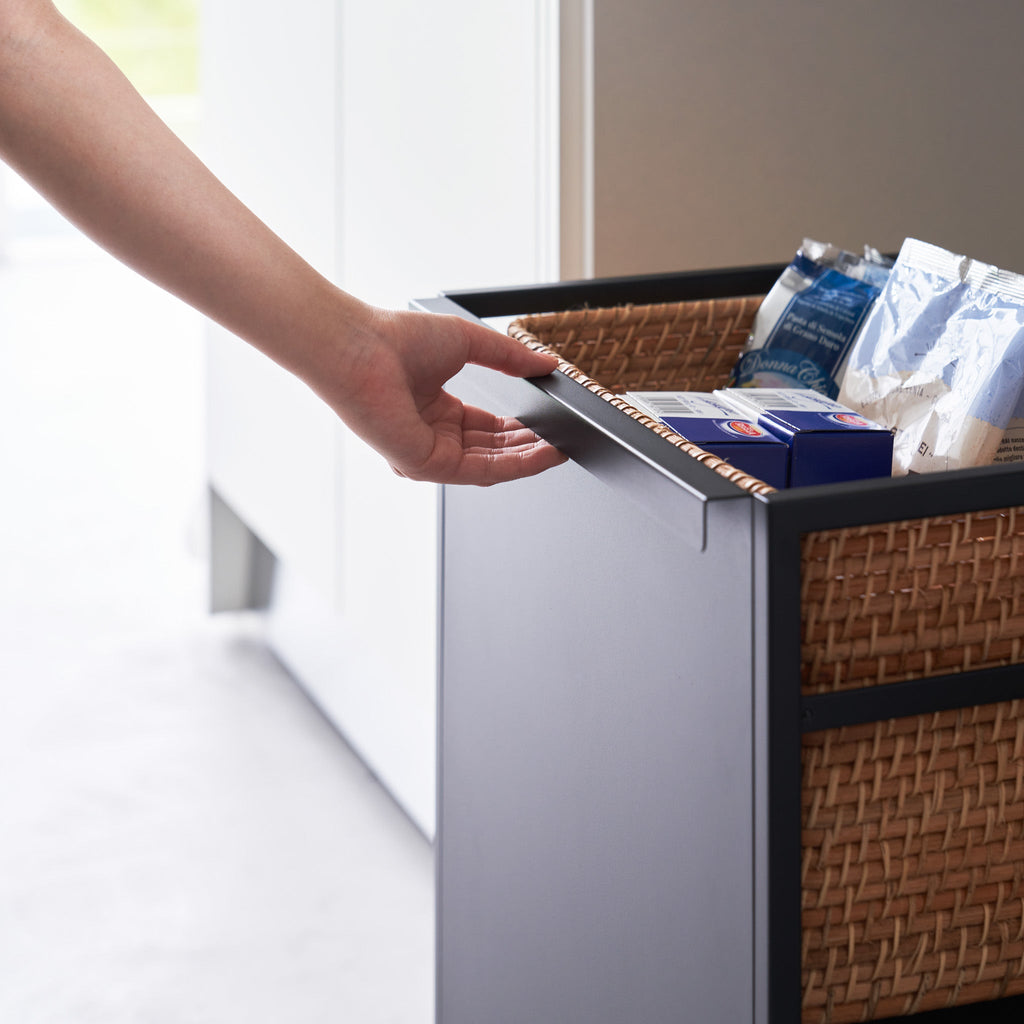 2-Tiered Semi-Closed Storage Wagon