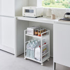 2-Tiered Semi-Closed Storage Wagon