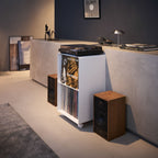 2-Tiered Record Rack with Casters