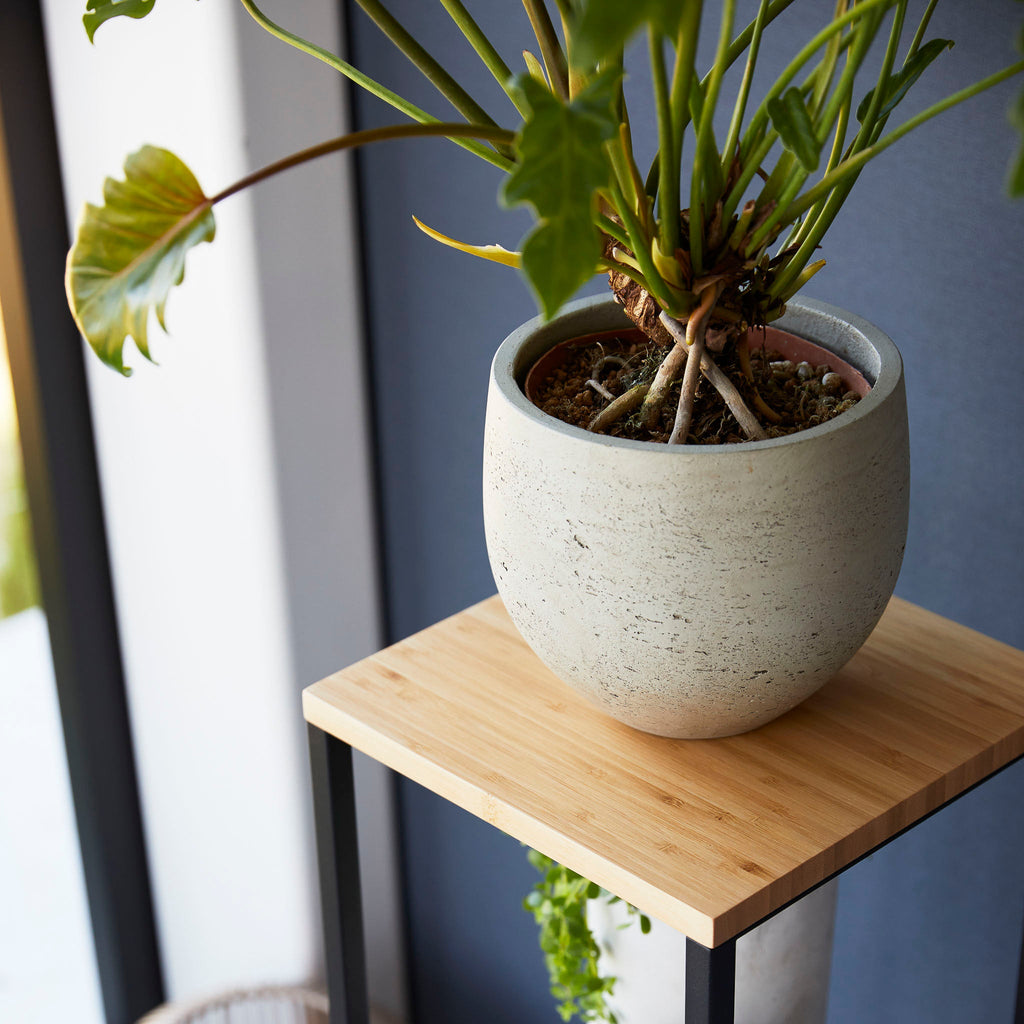 2-Tiered Wood-Top Shelf