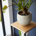 2-Tiered Wood-Top Shelf