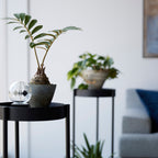 2-Tiered Plant Stand with Casters